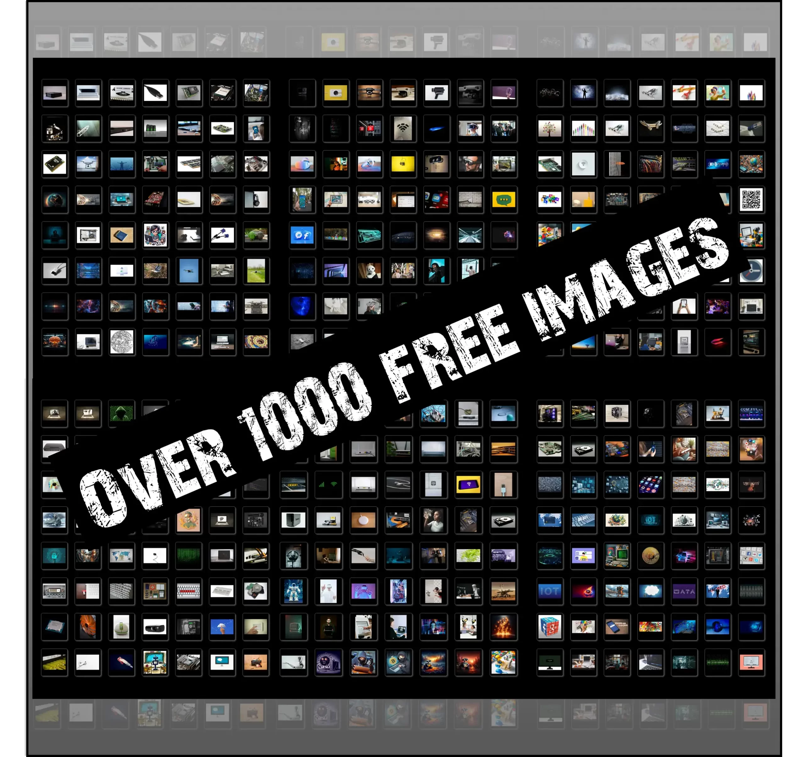 Free CAT Images Collection